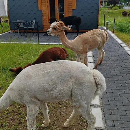 Holiday home Campingpod Auf Der Alpakawiese Arnsberg
